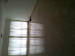 Astor Green (D21), Condominium #326638751